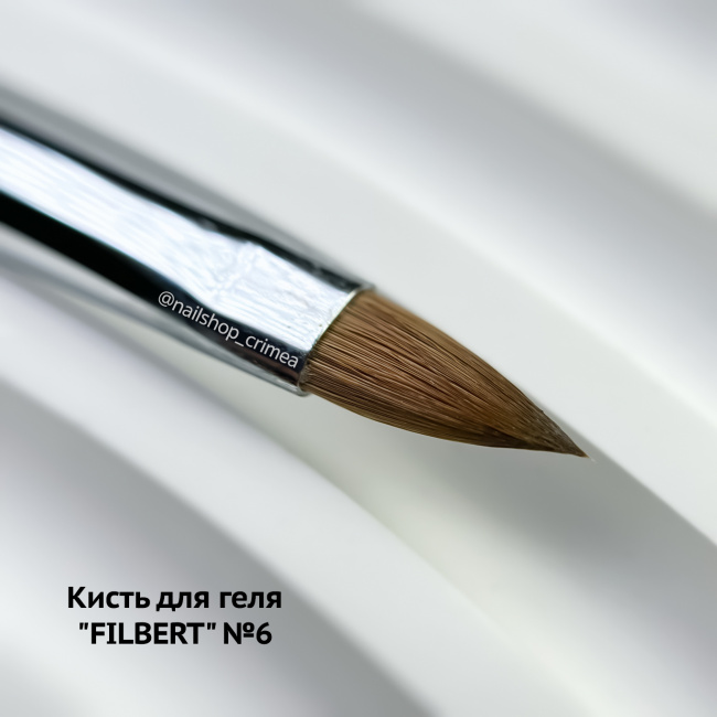 filbert 6