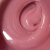 pink-heaven-shine-2 pink-heaven-shine-2