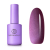 amethystcat1-1 amethystcat1-1