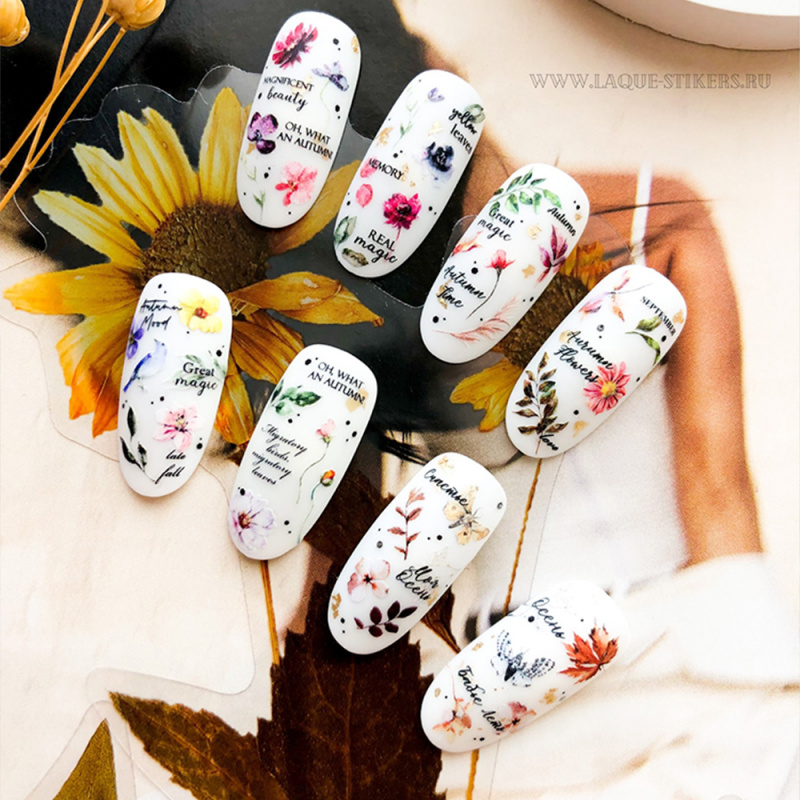 wb-168