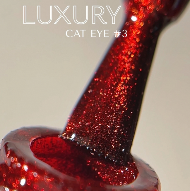 luxury-cat3-2